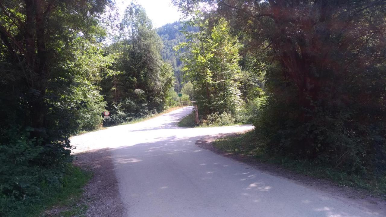 Apartma Lara Apartment Bled
